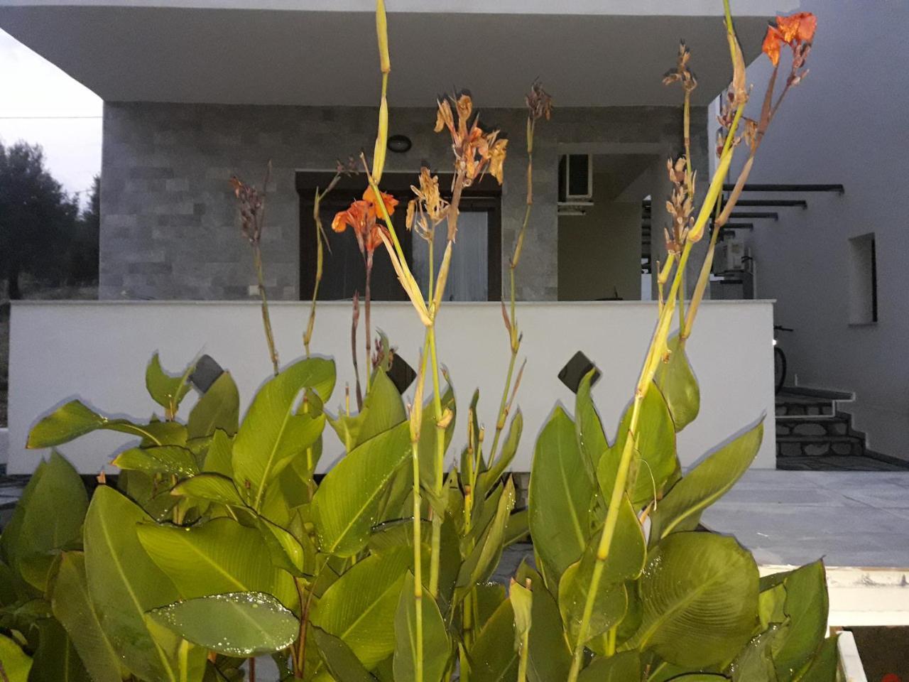 Villa Oliva Astris Buitenkant foto